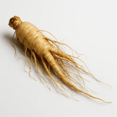 Ginseng